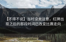 【不得不说】当时没太注意，红牌出现之后的那段时间已改变比赛走向