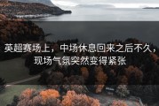 英超赛场上，中场休息回来之后不久，现场气氛突然变得紧张