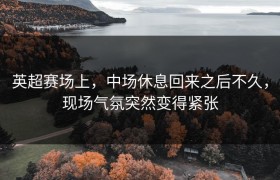 英超赛场上，中场休息回来之后不久，现场气氛突然变得紧张