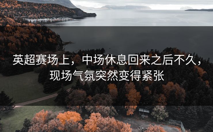 英超赛场上，中场休息回来之后不久，现场气氛突然变得紧张